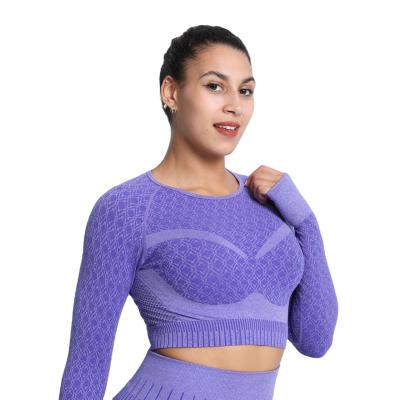 China Women's Seamless Yoga Suit Fitness Beauty Tight Elastic Body Sports Long Sleeve Autumn for sale