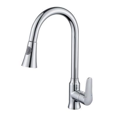 China Metered Faucets Single Handle Kitchen Faucets Kitchen Faucet OEM Kitchen Faucet 2022 for sale