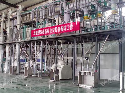 China China Wintone Brand Maize Mill Machine for Corn Flour and Con Grits 10t-200t for sale