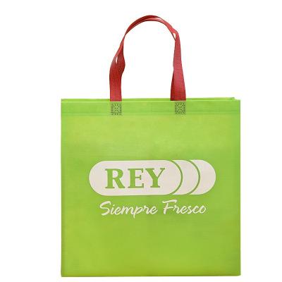 China Eco Friendly Custom Logo Handled Printed Non Woven Bags for sale