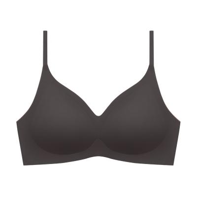 China Wholesale Women Underwear QUICK DRY Bra For Daily Use Seamless NO-Cut Padded Bra for sale