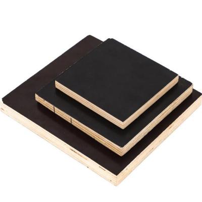 China Modern factory hot selling Okoume poplar birch melamine faced fancy plywood can be used for furniture packing and hotel for sale