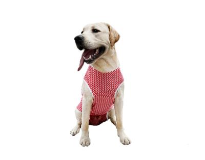 China Summer Dog And Pet Viable Wholesale Skirt New Design China Spring Clothing for sale