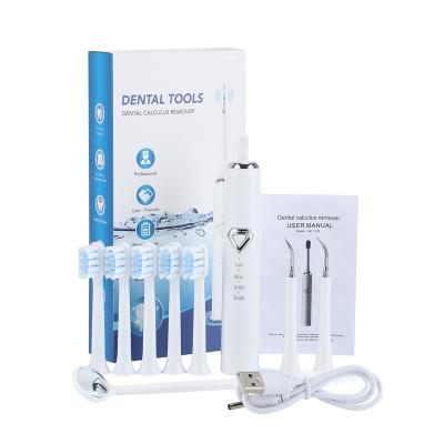 China ABS Electric Calculus Remover Dental Cleaning Tooth Whitening Irrigator Tartar Scaler Teeth Care for sale