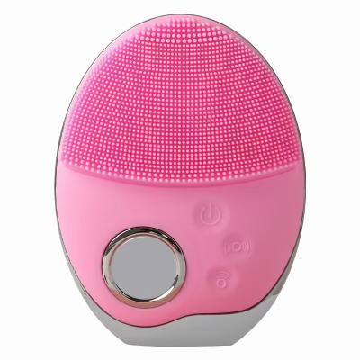 China Facial Skin Rose Deep Cleansing Professional Electric Facial Cleansing Sweep Facial Massager Cleanse Brush Device for sale