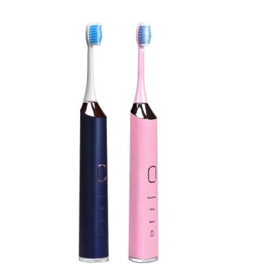 China Aldults Electric Toothbrush Teeth Whitening Oral Care Electric Toothbrush with Waterproof IPX7 Body for sale