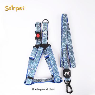 China Personalized Nylon Pet DETACHED Collar Dog Puppy Collar and Leash Pet Collar for Small Medium Large Dogs for sale