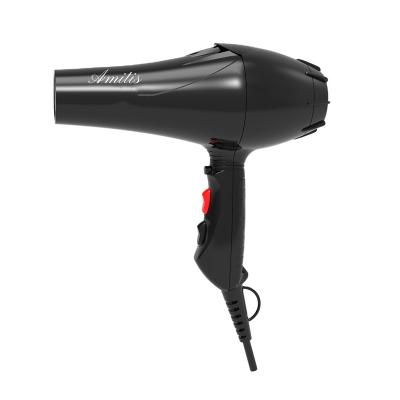 China 2021 Hot Products Trending Brand New Customized Standard Salons Collapsible Negative Ion Professional Hair Dryer for sale