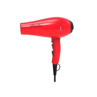 China Amitis Ionic Factory Wholesale High Quality Household 2000w For Pet And Women Hair Dryer for sale