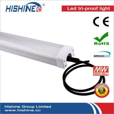 China IP65 50W LED Batten Lights Replace Fixtures With Single / Double Tubes for sale