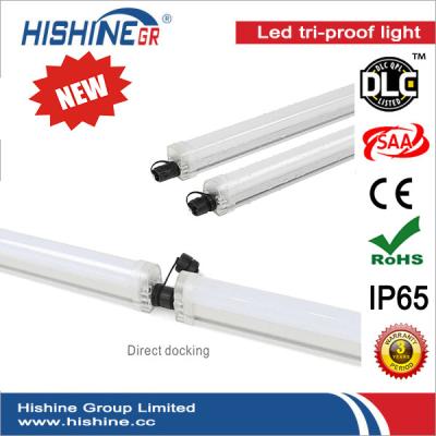 China Dampf-Beweis 5000LM 1200MM 50W LED, der Epistar-Chip CER RoHS beleuchtet zu verkaufen