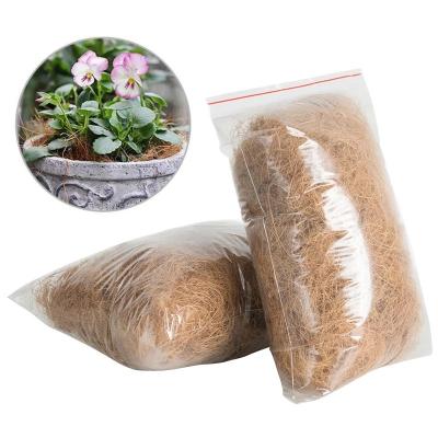 China Sustainable Potted Coir Fiber Home Amazon Green Plant High Quality Coconut Fiber for sale