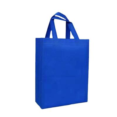 China 2021 New Environmental Protection Listing Shopping Bag Sturdy Laminated Nonwoven Bag for sale