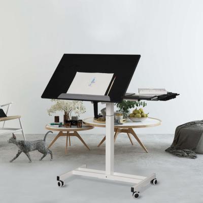 China Height Adjustable (Height) Adjustable Desk Student Desks Computer With Ipad Slots for sale