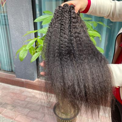 China Brazilian Curly 100% Virgin Brazilian Raw Cuticle Aligned Human Hair Raw Virgin Hair Bundles Hair Extension Seller for sale