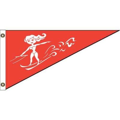 China Health Care Institutes One or Double Sided Printed Indoor Outdoor High Quality Custom Boat Pennant for sale