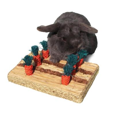 China Viable Wooden Rabbit Carrot Shaped Chewing Toy Hamster Rat Tooth Cleaning Toy for sale