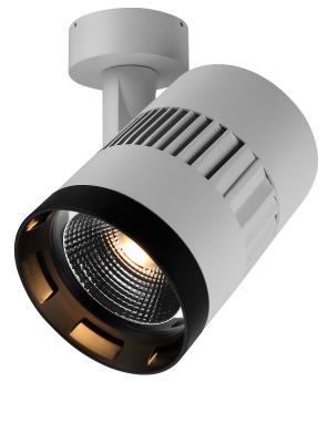 中国 30Wは取付けられたTiltable 90deg 350 deg Dia105mmの内部IP20ホテルLED Downlights C3A0115水平に浮上します 販売のため