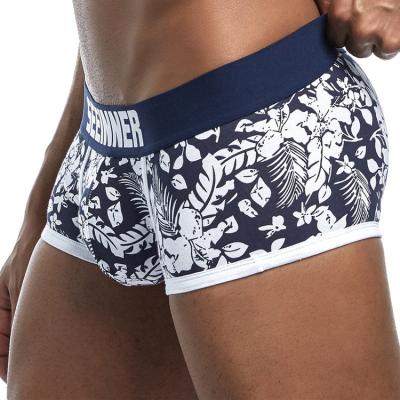 China 2020 New Brand Men's Breathable Designed Underwear Briefs Sexy Male Panties Breathable Cotton for sale