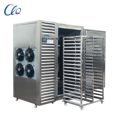 China Restaurant factory wholesale price -45 degrees Celsius Mini Seafood Blast Freezer Cabinet for sale