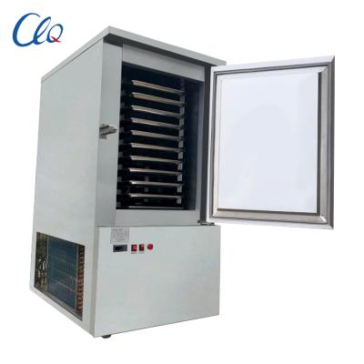 China Restaurant Most Popular Fast Shock 2.3KW Single Door Meat Vegetable Fruit Freezer for sale