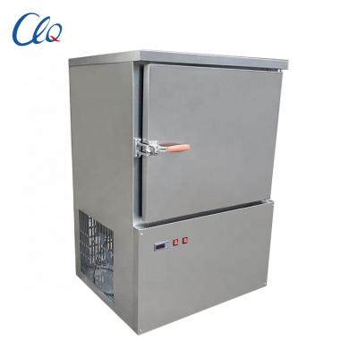 China Restaurant Factory Sale Freezer Fish Cooler Small Temperature Direct Blast for sale