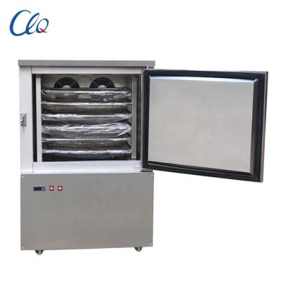 China Restaurant Stainless Steel 304 220V 50Hz R404A Low Noise Ice Cream Blast Refrigerator Air Crying Machine for sale