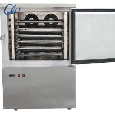 China restaurant small stainless steel shell CE certification blast freezing equipment, fruit blast freezer on sale for sale