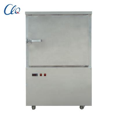 China Hot Sale Restaurant Ce Approved Commercial Automatic Blow Freezer Small Chiller Price for sale