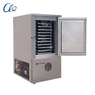 China restaurant deli stainless steel fan iqf cryogenic cooling blast freezer for seafood in china for sale