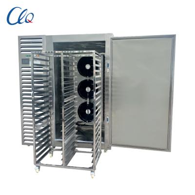 China Restaurant Freezing Air Blast Freezer Commercial Food Freezer for sale