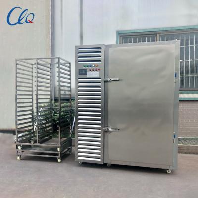 China Restaurant Air Cooling Stainless Steel Large Freezing Machine For Fresh Food For Kitchen for sale