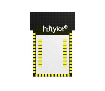 China Holyiot 18039 wireless IOT modul beacon ble5.0 nrf52840 small size built-in nordic bottom mic module for sale