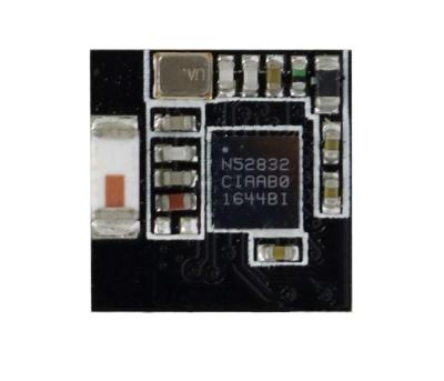 China Tiny IOT BLE Module Holyiot 17095 BLE 5.0 Beacon Ibeacon Low Energy nRF52832 Module for sale