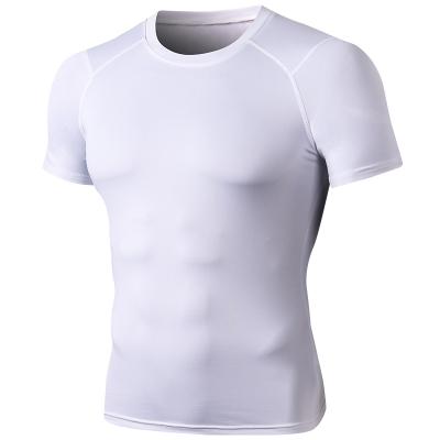 China Men's Anti-pilling Moisture Wicking Performance Sportswear Active Crew Gym T-shirt for sale