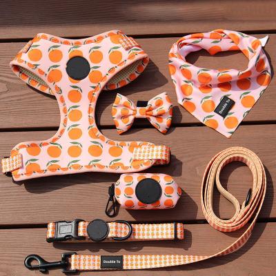 China Personalized DOUBLETOPET Puppy Neoprene Neoprene Dog Harness Sets Custom Made Luxury Adjustable Bandana Poop Collar Leash Reversible Breathable Dog Harness Sets for sale