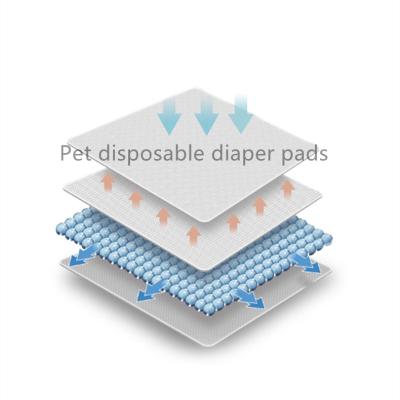 China Stocked Pet Diaper Pee Pad Charcoal Pet Toilet Training Pads Wholesale Disposable Pee Pads For Dogs Pet Training for sale