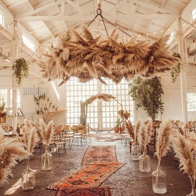 China Environmental decoration dry pampas grass dry pampas grass grass natural dry pampas grass wholesale for sale