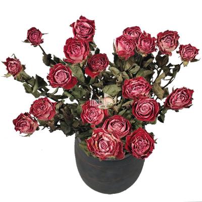 China Dried Roses MSFAME Long Lasting Flowers Preserved Roses Natural Flower Rose for sale