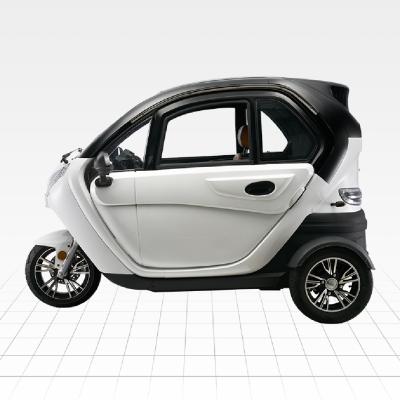 China Car Enclosed Tricycle Passenger Sightseeing Adult Electric Tricycle in Israel for sale