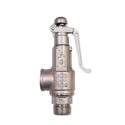 China General safety hot sale brass high temperature relief valve for steam water for sale