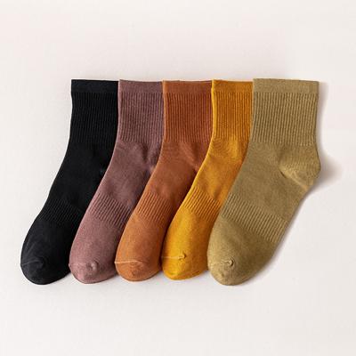 China Sporty new design comfortable classic cotton knit solid color tube socks wholesale for sale