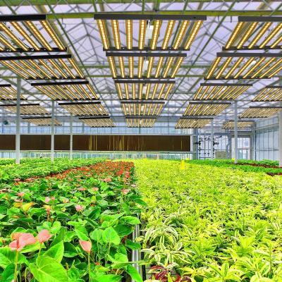 China Led grow guide samsung lm301b 561c optical foldable hydroponics growing lights 600w system instead of 1000w hps/mh greenhouse agricultural greenhouses led grow light for sale