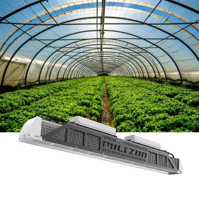 China NO fan no noise newcomer easy install horticulture 240W 500W replace 1000w hps greenhouse LED grow light for sale