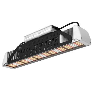 China NO Fan No Noise Waterproof Phlizon Samsung lm301b lm301h lm561c Full Spectrum LED Grow Light Bar Linear Fixture 240w USA Stocked for sale