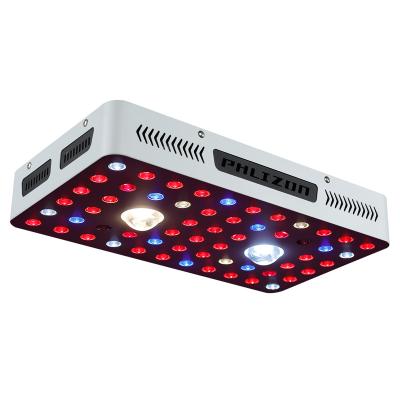 China Seed Seeding 1000W High Efficiency Indoor Plants Light 50 Watt x2 CXA2530 Full Spectrum COB LED Grow Light For Orchids for sale