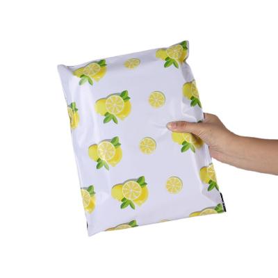 Cina 10x13 Inch Strong Adhesive Mail Send Bags Custom Design Poly Mailers Eco-Friendly LDPE Co-Ex Shipping Envelopes Mailing Bags in vendita