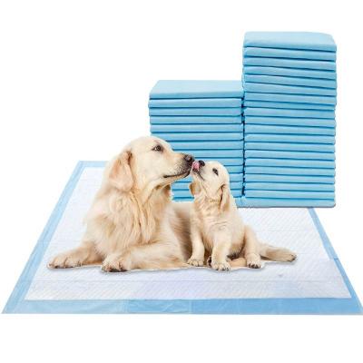 China Disposable Quick Dry Toilet Pee Pad, Water Absorption Puppy Potty Urine Viable Multi-sizes Strong Leakproof Dog Training Pee Mats for sale