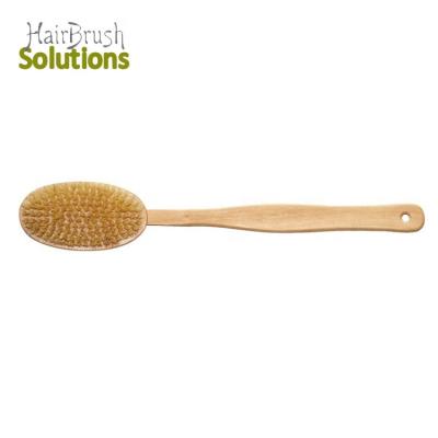 China 2 Pack Natural Dry Body All Back Skin Free Samples Wooden Exfoliating Cleaning Brush Handle Body Bath Shower Long Brush Set for sale