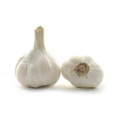 China Fresh Garlic Specification Fresh Garlic In Chinese Factory 6.0cm Normal Pure White Fresh Garlic for sale